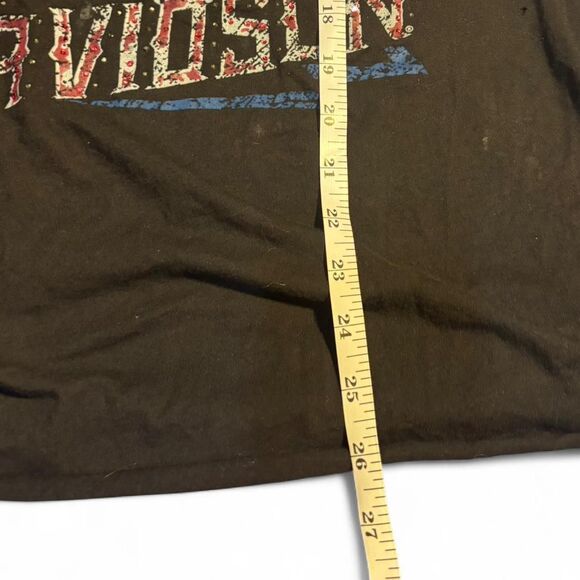 Harley-davidson Tombstone Tank - Picture 7 of 7